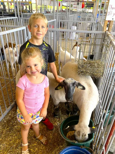 Barnyard Buddies